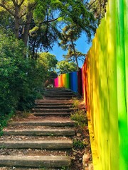 Legni colorati lungo un sentiero in Spagna a Barcellona, in mezzo alla natura con colori accesi e...