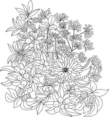 Fototapeta premium Forest flowers, leaves and berries. Beautiful bouquet. Vector coloring book for adults and children. Hand drawn illustration. Floral ornament is good for web, print and stencil