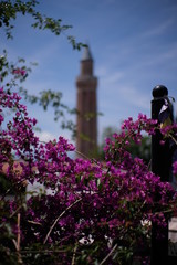 architecture, tower, building, sky, church, flowers, flower, old, garden, monument, europe, travel, summer, pink, landmark, tourism, blue, religion, tree, statue, nature, city, park, trees, lighthouse