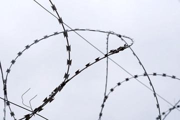 Barbed wire on gray sky background