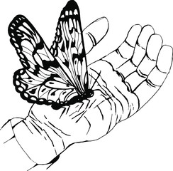 Hand drawn illustration with pen. Beautiful butterfly in the palm of your hand. Symbol of friendship, love and peace. Black line on a white background. Vector drawing