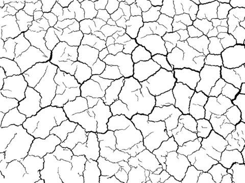 lots lines of crack ground for abstract background on white background
