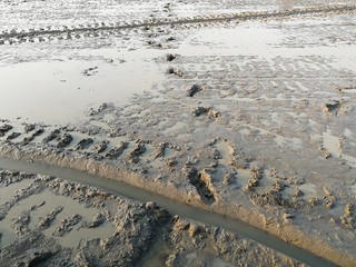 lots foot print on dirty muddy ground