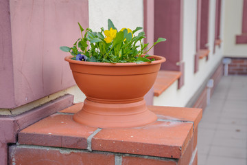 Fototapeta na wymiar Vase of flowers on a pedestal near the wall of a house