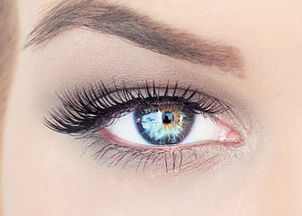 Obraz premium Professional makeup artist working with beautiful young woman. bright blonde model with african pigtails on a white background