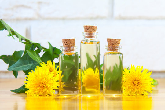 Fototapeta dandelion essential oil in  beautiful bottle on table
