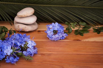 zen still life with flowers, stones and palm leaf