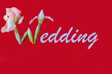 The word Wedding is written in iris flowers on a red background. Great for wedding invitations design, cards, banners, photo overlays. The inscription Wedding lined with white flowers.