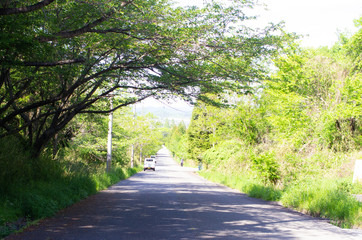 Fototapeta premium 道