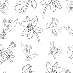Vector Scilla flowers patterns. The first spring flowers hand drawn on white. Use for fabric, wrapping paper, wallpaper.
