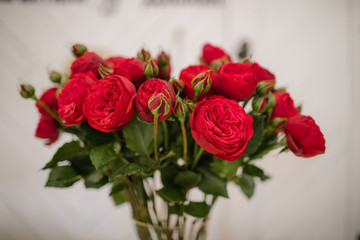 stylish bouquet of brightly scarlet ranunculus