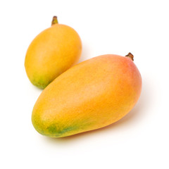 Mango on a white background