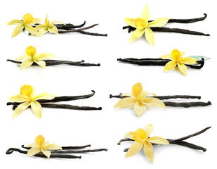 Set with aromatic vanilla pods and flowers on white background