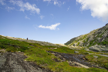 Fototapeta premium Randonneuse en Hardangervidda