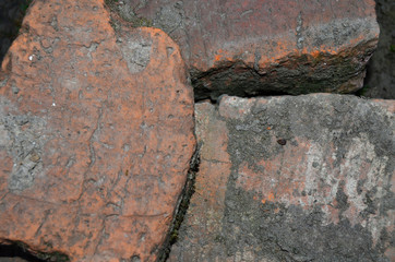 Texture of old brick with moss photo