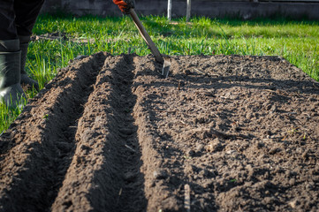 The universal irreplaceable garden tool Fokin's plane cutter in work