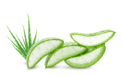 Aloe vera slice on white background.