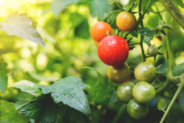 White poster on concrete wall. or blank paper labels on the cement wall.Information promoting ideas for marketing announcements and details.