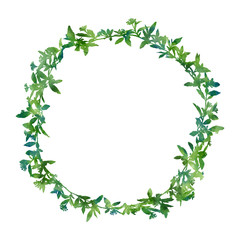 Hand painted wreath isolated on a white background. Decorative image for creative design of cards, invitations, banners, websites, posters, etc. Beautiful watercolour artwork. 