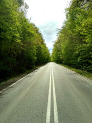 Droga asfaltowa w lesie