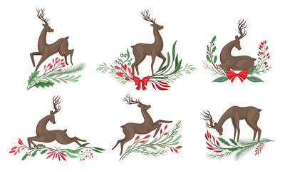 Brown Deer with Antlers and Winter Twigs and Flower Composition Beneath It Vector Set