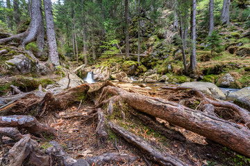 Wanderung zu den Rißloch Wasserfälle bei Bodenmais | Naturerlebnis Bayerischer Wald