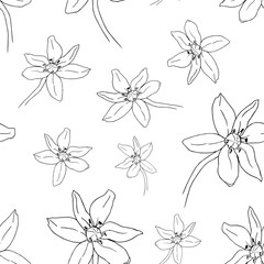 Scilla flowers patterns. The first spring flowers hand drawn on white. Use for fabric, wrapping paper, wallpaper.