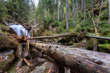 Wanderung zu den Rißloch Wasserfälle bei Bodenmais | Naturerlebnis Bayerischer Wald