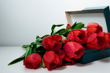 A bouquet of red tulips lies in a box and on the table.