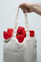 Male hand holds a fabric bag with flowers.  Red tulips for a gift.