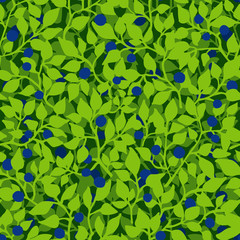 Wild blueberry seamless pattern. Vector texture of blueberry bushes.