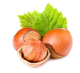 hazelnuts with green leaf isolated on white background