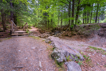 Wanderung zu den Rißloch Wasserfälle bei Bodenmais | Naturerlebnis Bayerischer Wald