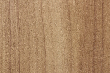 wood texture background