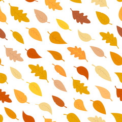 pattern of autumn leaves, orange, yellow, brown fallen leaves