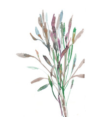 HAnd drawn watercolor branch with leaves 