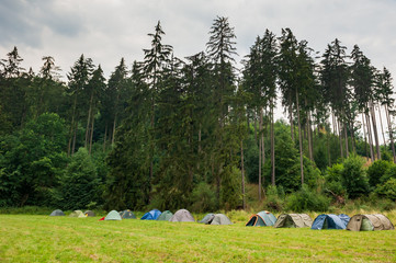 Tents camping area, cloudy summer day, beautiful natural place with big coniferous trees and green grass, Czech countryside, Czechia.