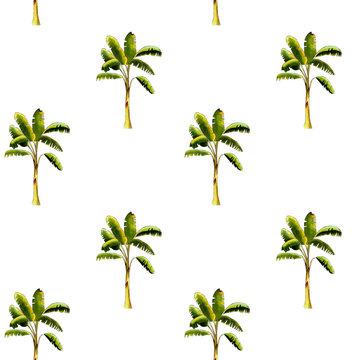 seamless pattern with banana tree on white background. Hand draw illustration