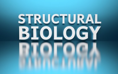 Bold white biological term educational subject name written in white bold letters structural biology on blue background. 3d illustration.