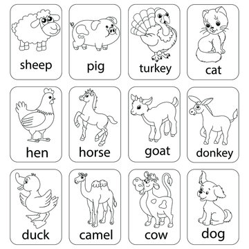 Set of painted black and white animals. Sheep, pig, turkey, cat, chicken, horse, goat, donkey, duck, camel, cow and dog.