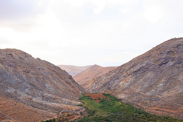 Landschaft, Oase, Natur, Fuerteventura, Vega de Río Palmas, Betancuria, Spanien, Palmental, Tal, Gebirge, Roadtrip, Urlaub