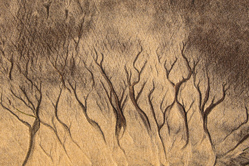 Structures in the sand from tiny trickling rivulets