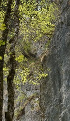 Vertikalpanorama im Chiemgau