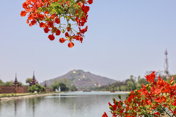 Fototapete bei efototapeten.de bestellen   