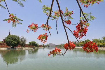 Fototapete bei efototapeten.de bestellen   