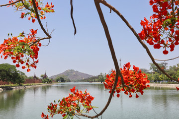 Fototapete bei efototapeten.de bestellen   