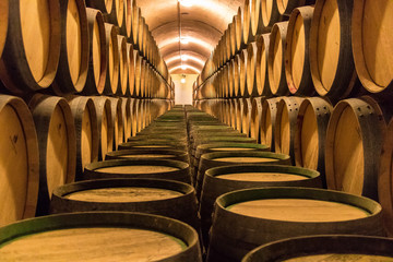 great wine cellar la rioja, spain. 