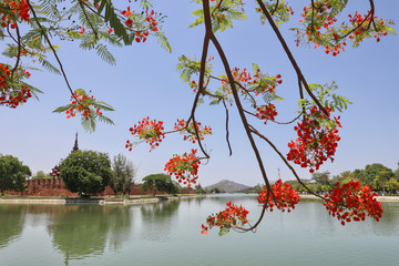 Fototapete bei efototapeten.de bestellen   