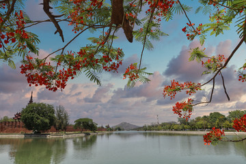 Fototapete bei efototapeten.de bestellen   