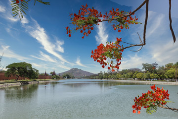 Fototapete bei efototapeten.de bestellen   